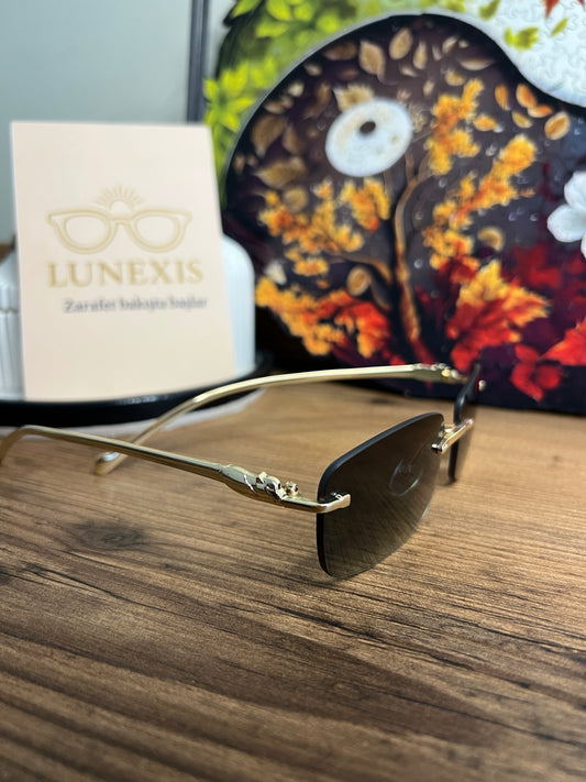 CARTİER Güneş Gözlüğü (S2685 gold-siyah)