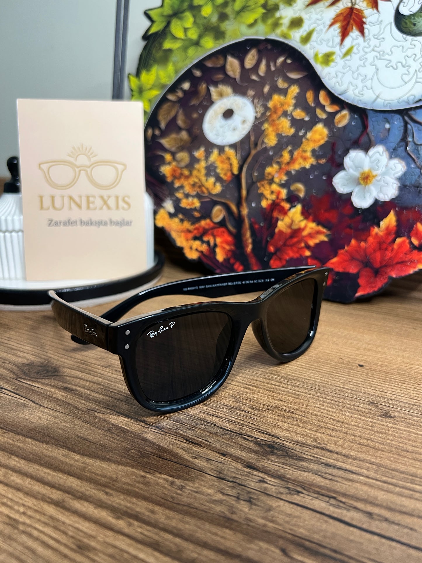 RayBan P Güneş Gözlüğü (RB R0501S siyah)