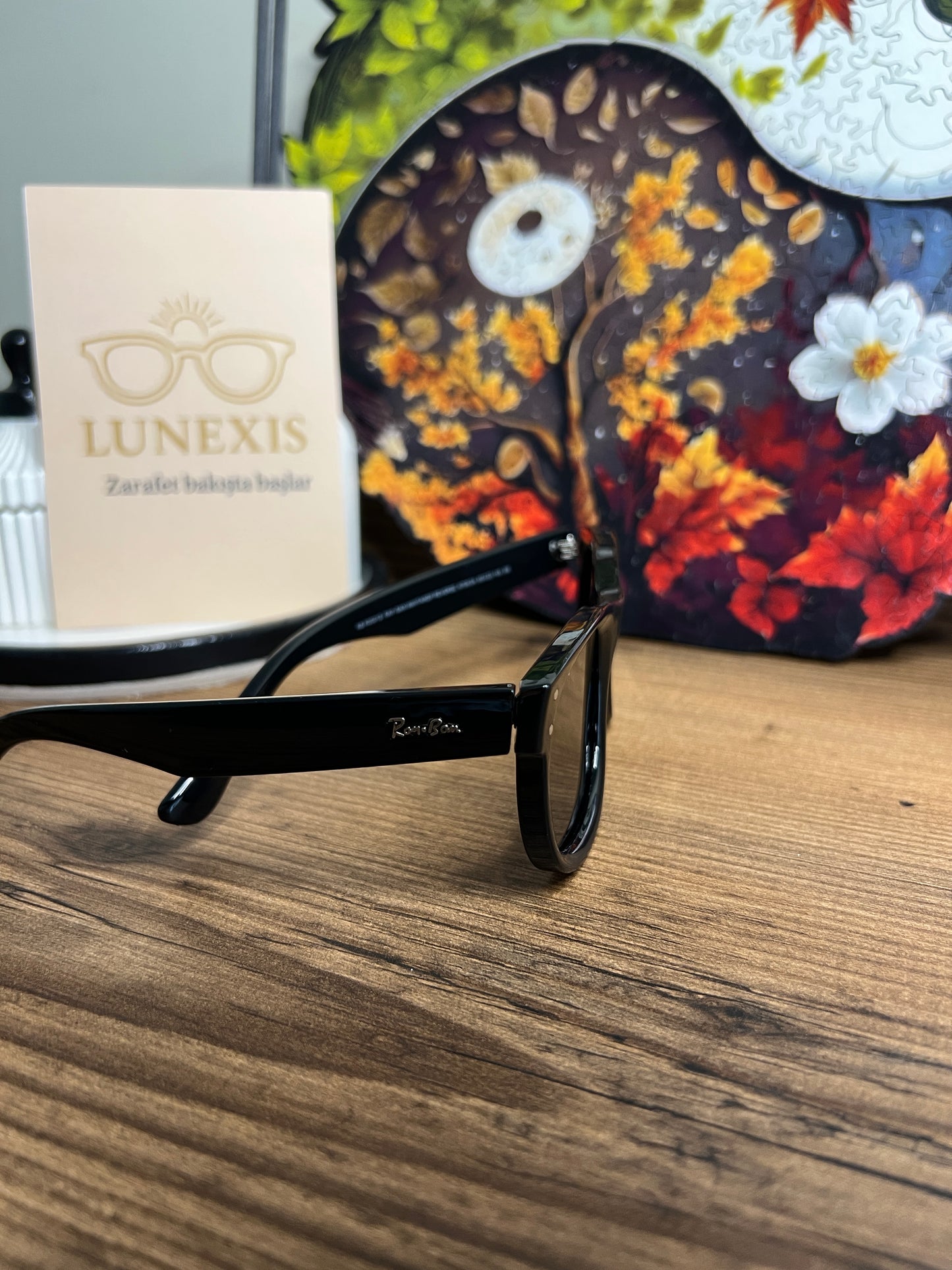 RayBan P Güneş Gözlüğü (RB R0501S siyah)